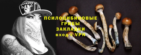 МДПВ Верхний Тагил